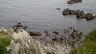 岬もなかなか★