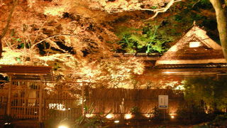 宝厳院のライトアップ