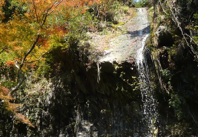 和歌山県で二番目の滝・・・『次の滝』