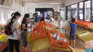 北信州やまのうち　野菜類も充実