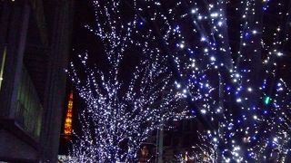 クリスマスイルミネーションといえばここ！
