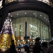 東京駅丸の内のフラワーファンタジア