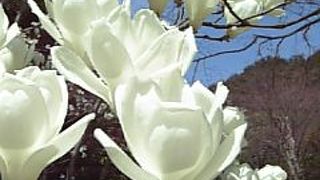 のんびりできる美術館