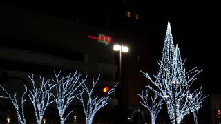 香林坊地区ツリーファンタジー