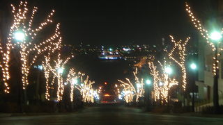 八幡坂から望む　函館夜景とイルミネーション