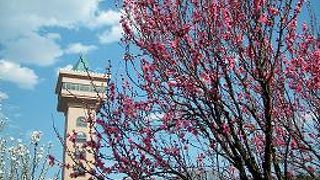 相模原麻溝公園