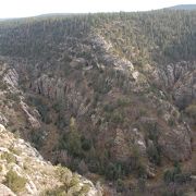 断崖住居遺跡が残る景勝地、Walnut Canyon National Monument