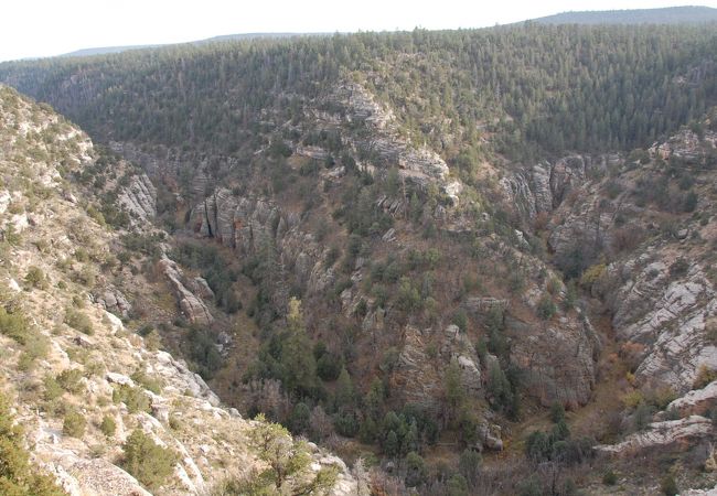 断崖住居遺跡が残る景勝地、Walnut Canyon National Monument