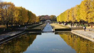 自然満載の広大な公園