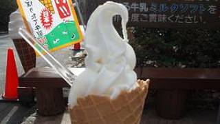 ソフトクリームは絶品♪