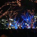中ノ島のイルミネーション