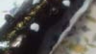 ナマズではありませ～ん! エクレアです!