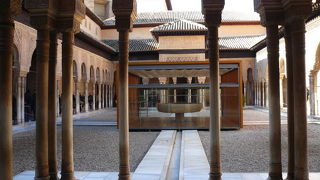 2008年１月現在、ライオンは不在です