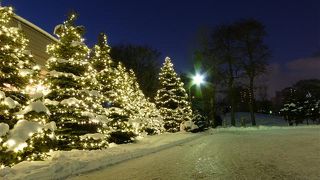 イルミネーションがキレイ