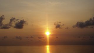 カーチャーターはひまわりトランスポートで☆