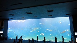 時間帯を選びましょう