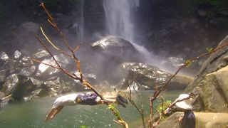 台風一過はピナイサーラの滝でひと泳ぎ！