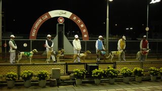 競馬知識は必要かも