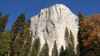 エルキャピタン　（エルカピタン）