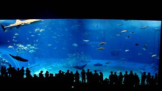 色々な世界初がたくさん！