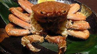 北の魚 南二条店