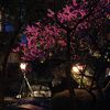 人気があるのが納得できる旅館｢伊東 大和館｣