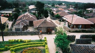 竹富島を周るなら～なごみの塔～