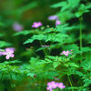 「まったり」できるおすすめの旅館