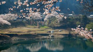 めっちゃきれいです～