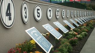 NY STREEET☆チケット頼んだり、ヤンキースタジアムツアーなどなど