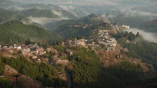 さくらの名所　吉野山