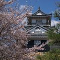 お城と日本庭園と桜の取り合わせの見事さ