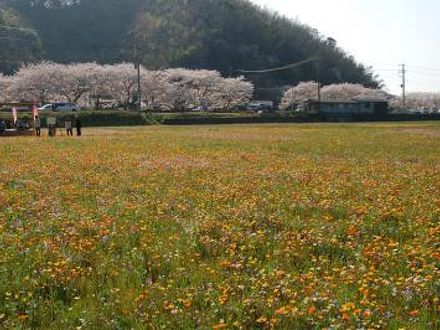 ジャスミン　ロッジ 写真