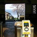 桜と海が見れる駅。