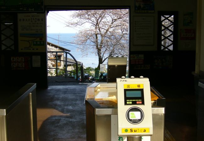 桜と海が見れる駅。
