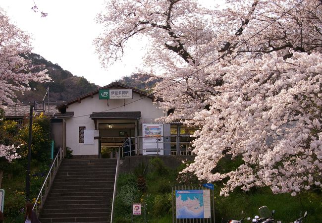 桜と海が見れる駅 ?