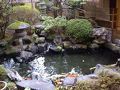 信州しもすわ温泉 ぎん月 写真