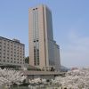 桜満開のNASPA