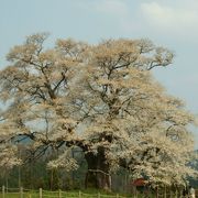 1000年の流れ