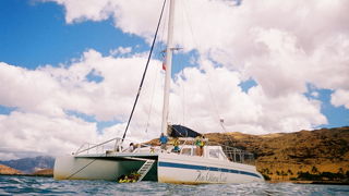 Ko Olina の沖でイルカと。