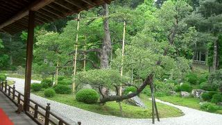 曼殊院はとても落ち着いていて女性的