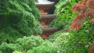 岩船寺には池も五重塔もあります