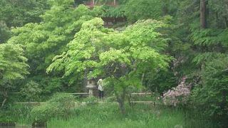 吉祥天女像の公開日