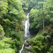 深い樹林に囲まれた谷を落ちる見事な百選滝　『原不動滝』