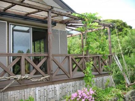 旅荘　美山　＜屋久島＞ 写真