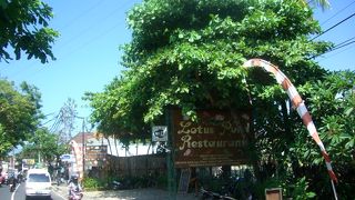 何にしようか迷ったらココ