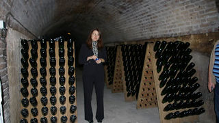 モエ・エ・シャンドンのシャンパンカーブ見学