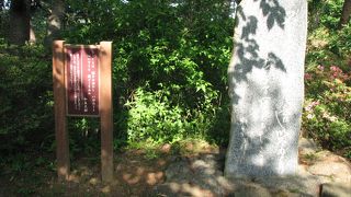 歴史を肌で感じる歌の散策路