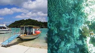 ひたすら美しい珊瑚礁の海！川平湾でグラスボートに乗る
