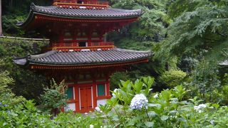 紫陽花の穴場 『岩船寺』
